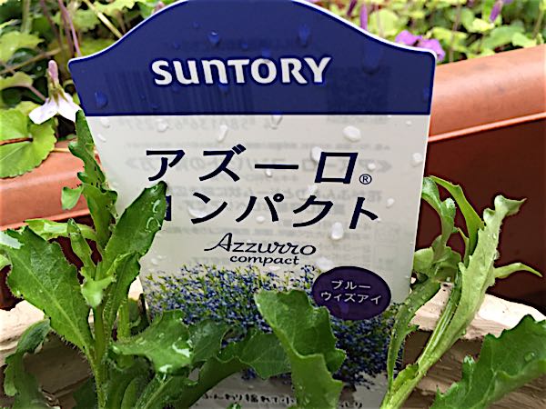 rblog-20160330183433-02.jpg