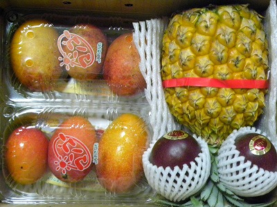 DSCN9345.jpg