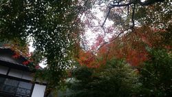 第5回? 早朝ウォーキング_761.jpg