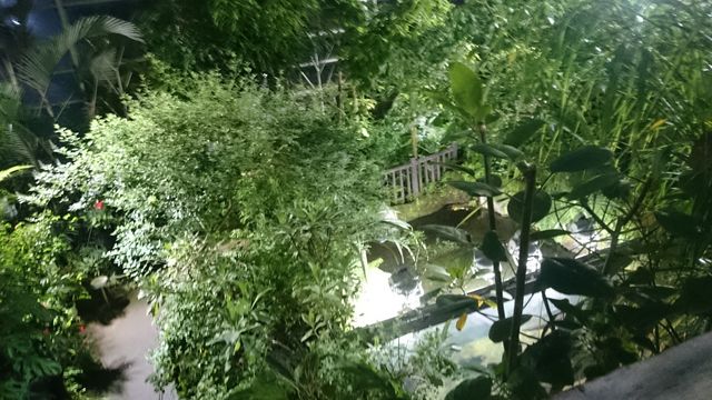 2015-06-12 19.14.38.jpg