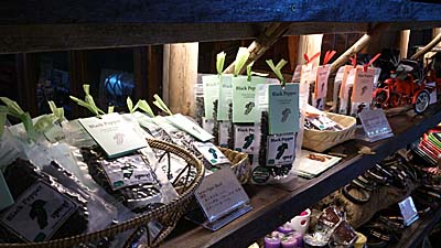チャイマッサージのお土産物売り場