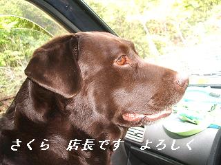 DSCF0308.JPG