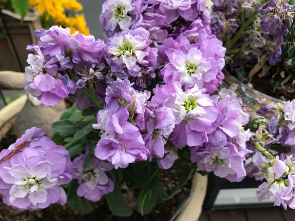rblog-20190423182339-09.jpg