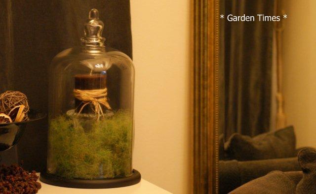 スモークツリー