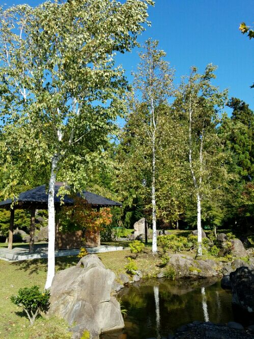 rblog-20161007161733-01.jpg
