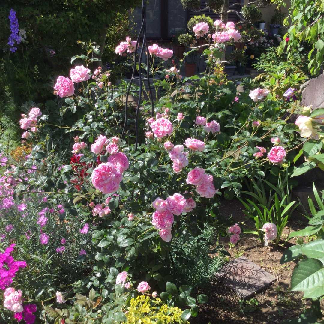 ツルバイマリコ(薔薇の立体柄)ハイヒール