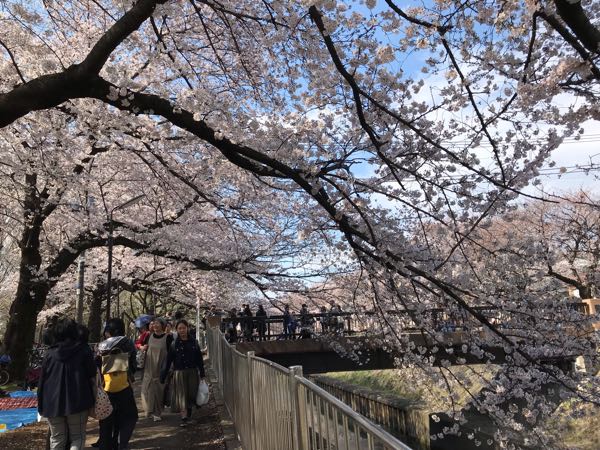 rblog-20190331200744-04.jpg
