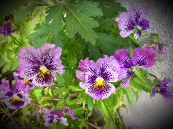 rblog-20160531203424-03.jpg