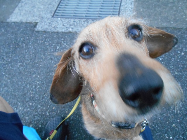 DSCN1140.JPG