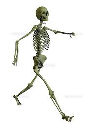 骸骨