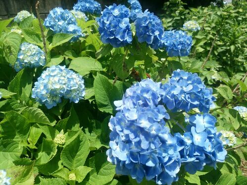 rblog-20160526235619-01.jpg
