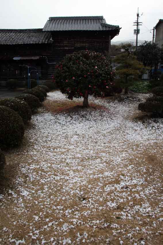 雪景色2012/0126-4♪