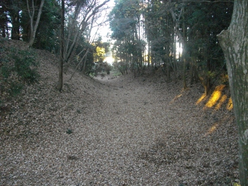 児山城空堀 (2) (500x375).jpg