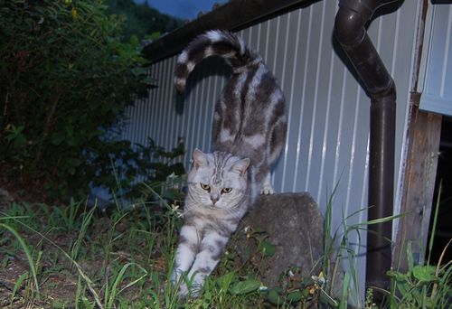 DSC_0627.JPG