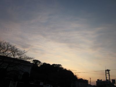 IMG_8722.JPG