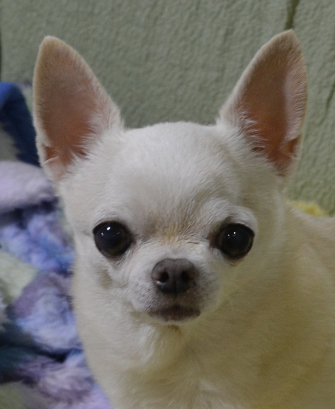 DSC_0273.JPG