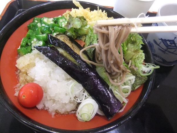 吉野家@アリオ西新井の梅鬼おろしそば2