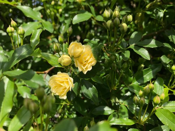 rblog-20180408162246-07.jpg