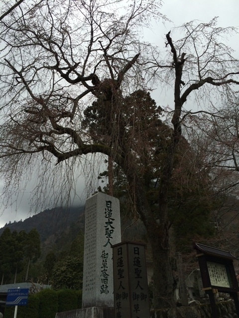 田中屋さん4.jpg