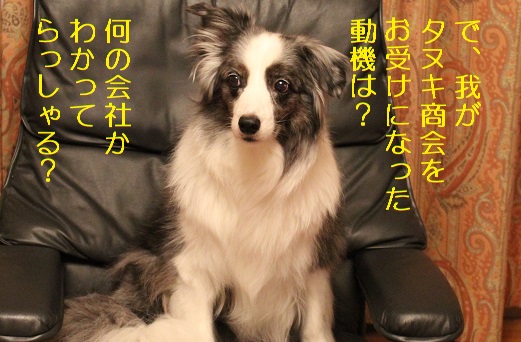 何の会社