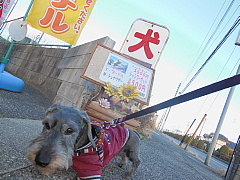 conv0258.JPG