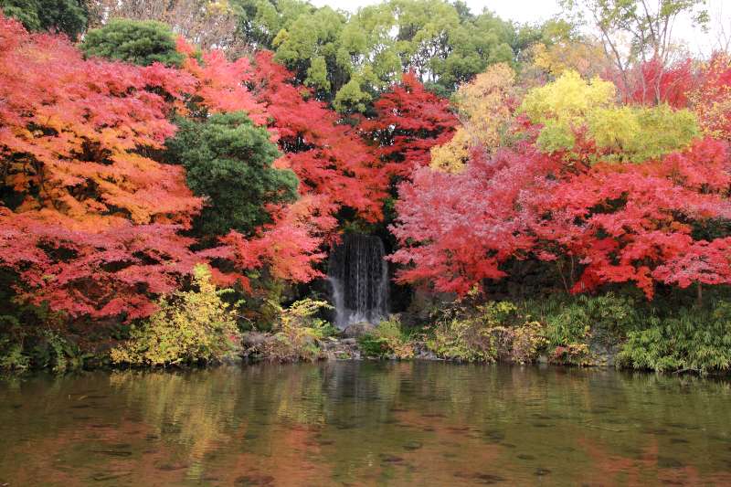 万博記念公園_002.jpg