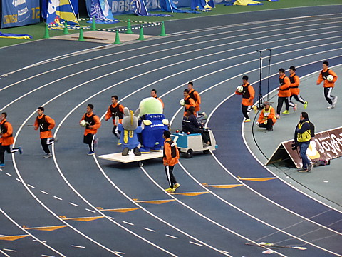 P1260157.jpg