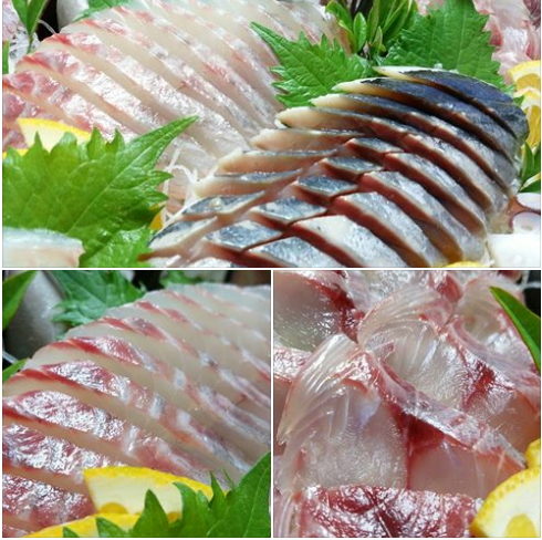 sashimi1