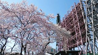 rblog-20140411232718-00.jpg