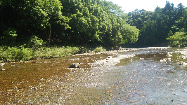 resize0025.jpg