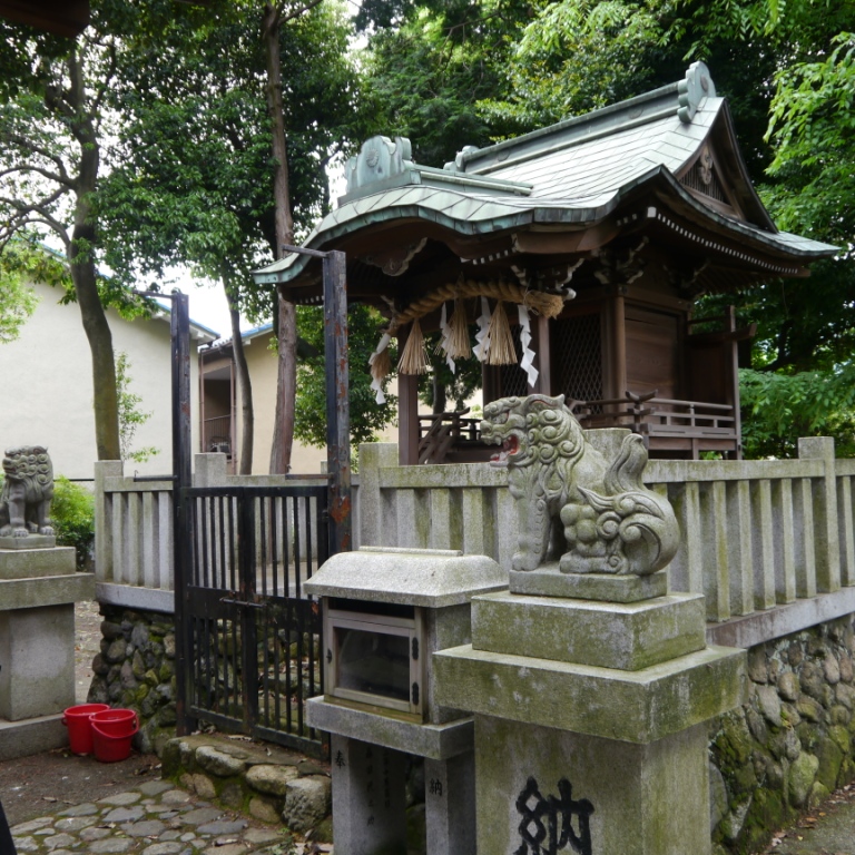 P1070380.JPG