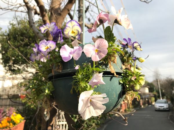 rblog-20180324163149-02.jpg