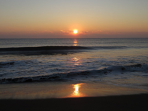 IMG_8125.jpg