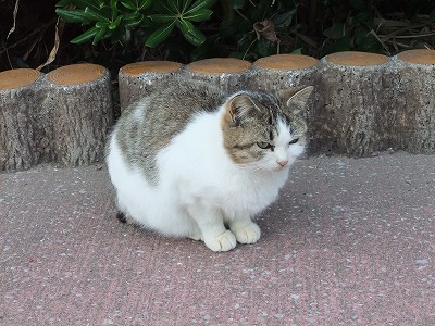 s-DSCF4758.jpg