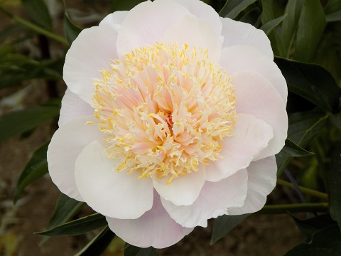 DSCN3813.JPG