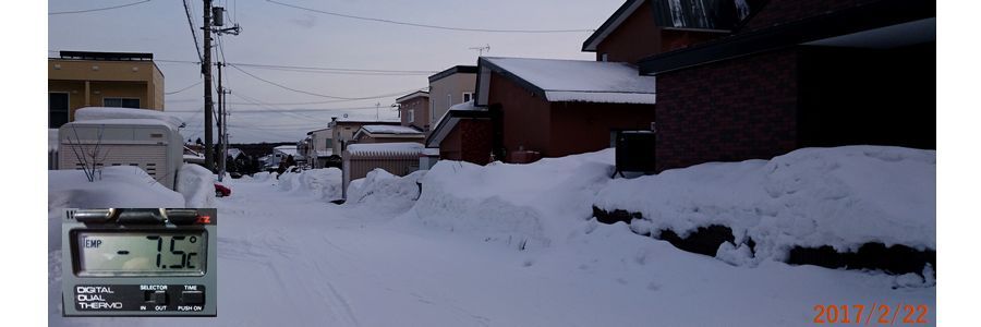 2/22今朝の道路.jpg