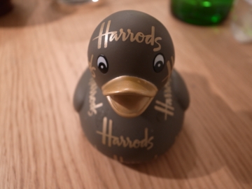 同居人ハロ子-1