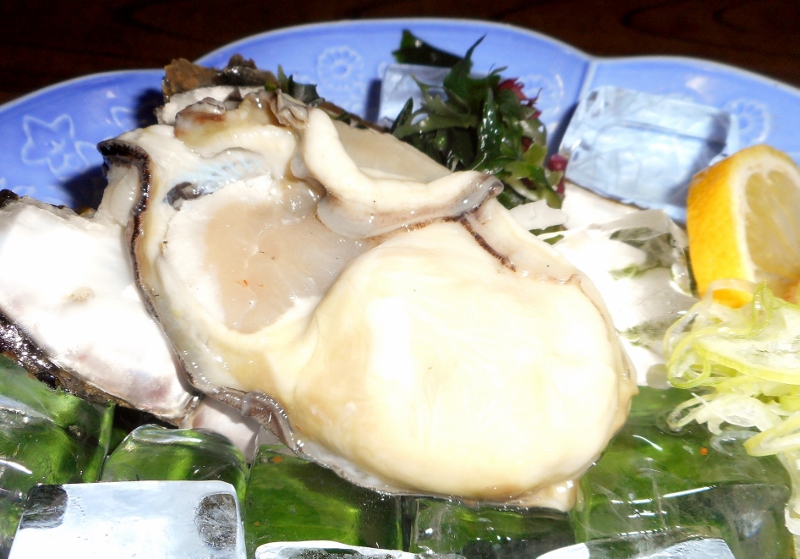 DSCN1391 (800x559).jpg