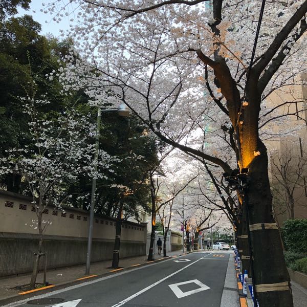 rblog-20180328081358-01.jpg