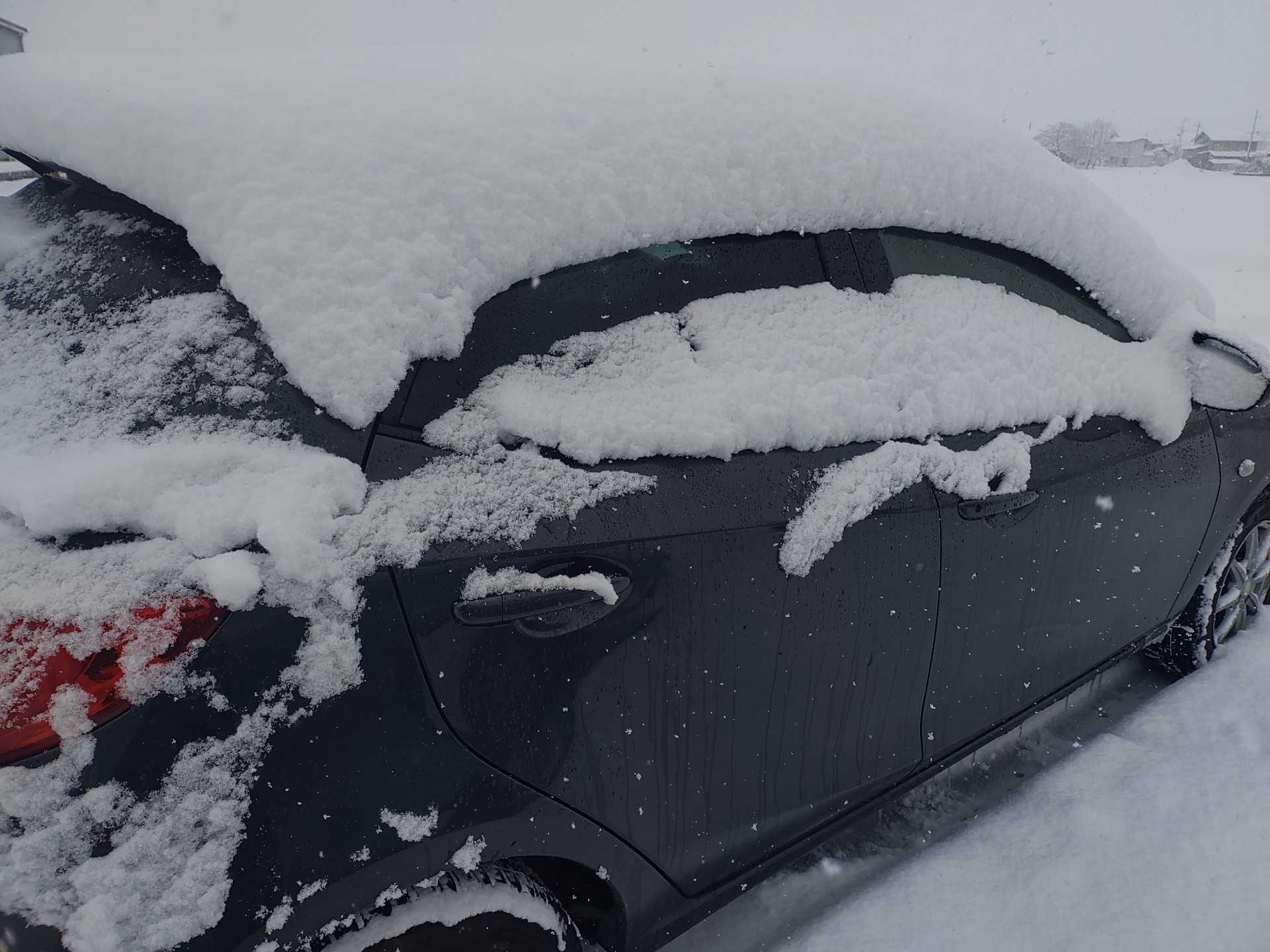 市 予報 上越 降雪