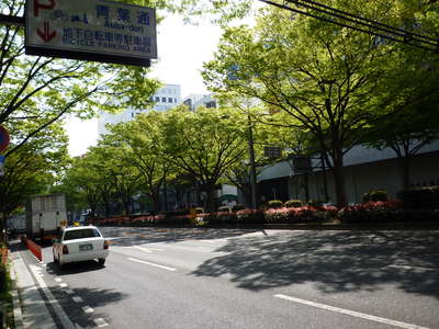 L3446260001286915.jpg