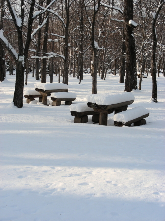 2017-11-20-2 (1).JPG