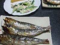 いわし