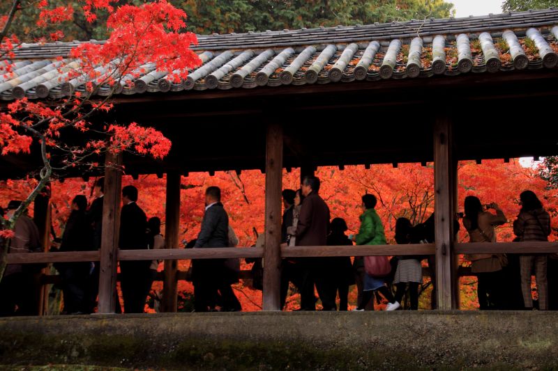 通天橋庭園_007.jpg