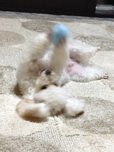 20141122_02.jpg