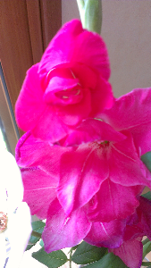 rblog-20130810091337-03.png