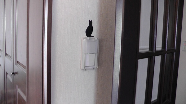 猫部屋のスイッチプレートと一時交換