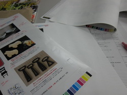 IMG_9041_サイズ変更.JPG