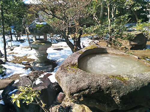 0128ume05.jpg
