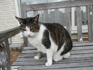 IMG_9266ss.jpg